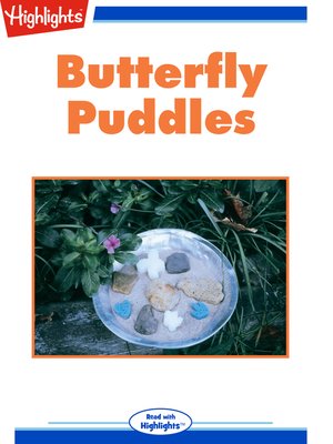 cover image of Butterfly Puddles